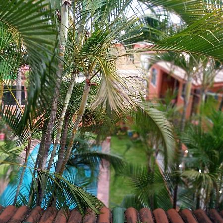Posada Cocos Cuernavaca Dış mekan fotoğraf